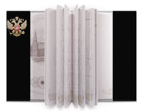 Заказать обложку для паспорта в Москве. Обложка для паспорта БАЙКЕР. BIKER от robus - готовые дизайны и нанесение принтов.