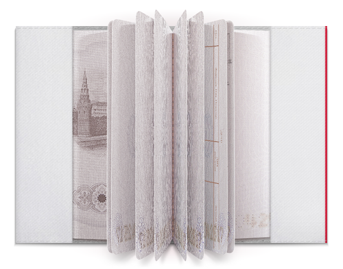 Заказать обложку для паспорта в Москве. Обложка для паспорта Хохлома от Polilog - готовые дизайны и нанесение принтов.
