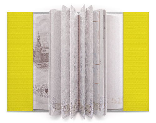 Заказать обложку для паспорта в Москве. Обложка для паспорта Бэт-герл (Коллекция: Герои носят маски) от GeekFox  - готовые дизайны и нанесение принтов.