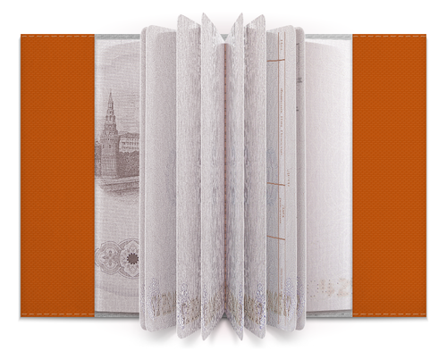 Заказать обложку для паспорта в Москве. Обложка для паспорта Наслаждайтесь архитектурой от Eve  - готовые дизайны и нанесение принтов.
