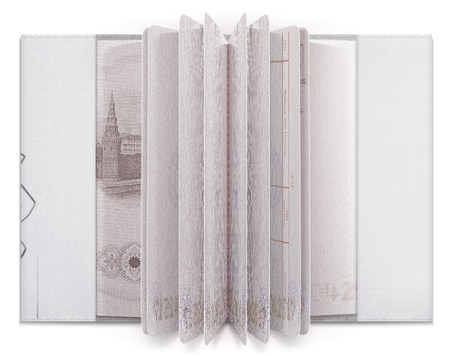 Заказать обложку для паспорта в Москве. Обложка для паспорта Путь воина от shop-viking - готовые дизайны и нанесение принтов.