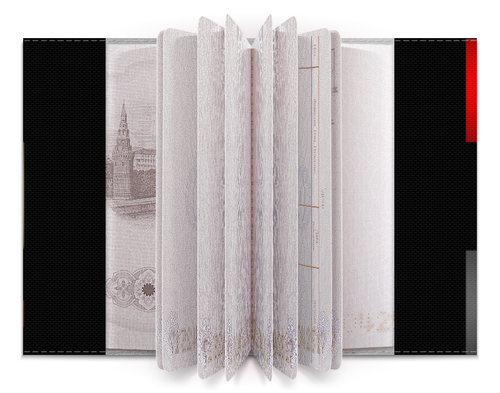 Заказать обложку для паспорта в Москве. Обложка для паспорта Стихийники от esse - готовые дизайны и нанесение принтов.