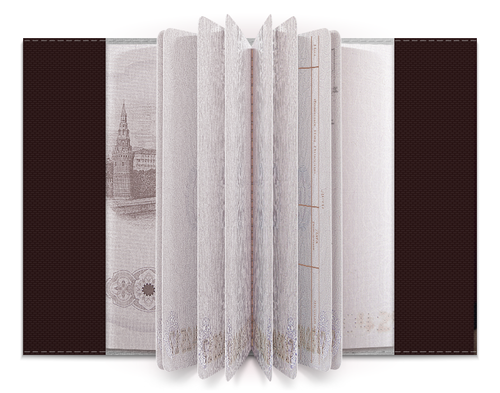 Заказать обложку для паспорта в Москве. Обложка для паспорта Die Antwoord от skynatural - готовые дизайны и нанесение принтов.