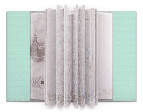 Заказать обложку для паспорта в Москве. Обложка для паспорта Цветы от Mari_M - готовые дизайны и нанесение принтов.