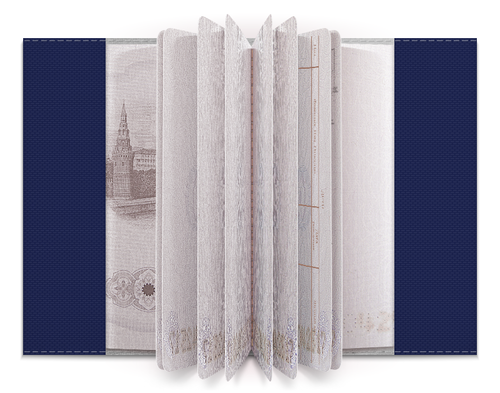 Заказать обложку для паспорта в Москве. Обложка для паспорта USA PASSPORT от Pod Pul - готовые дизайны и нанесение принтов.