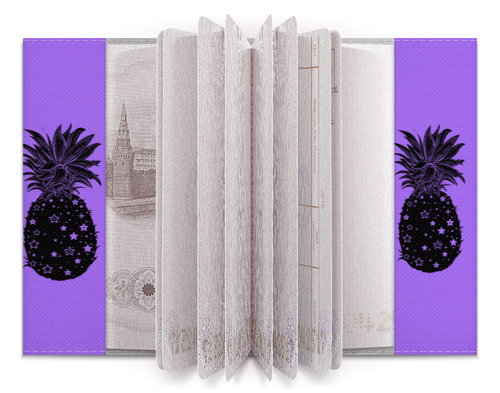 Заказать обложку для паспорта в Москве. Обложка для паспорта обложка на паспорт от likulia1980@yandex.ru - готовые дизайны и нанесение принтов.