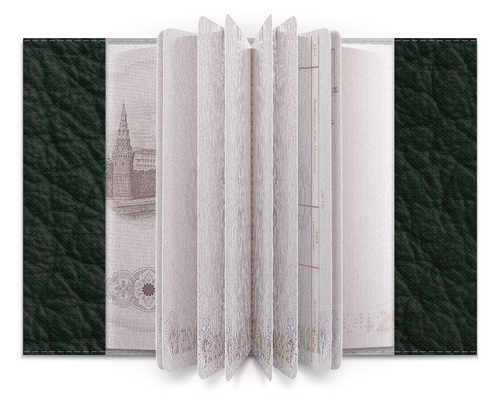 Заказать обложку для паспорта в Москве. Обложка для паспорта Кожаная текстура от nadegda - готовые дизайны и нанесение принтов.