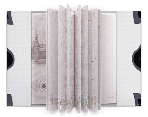 Заказать обложку для паспорта в Москве. Обложка для паспорта Пантера в маске от Stil na yarkosti - готовые дизайны и нанесение принтов.