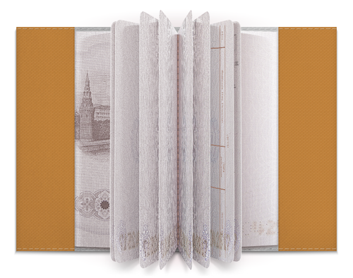 Заказать обложку для паспорта в Москве. Обложка для паспорта Кошачий концерт от Виктор Гришин - готовые дизайны и нанесение принтов.