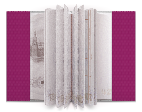Заказать обложку для паспорта в Москве. Обложка для паспорта Hopes, dreams, wishes от AstArt - готовые дизайны и нанесение принтов.