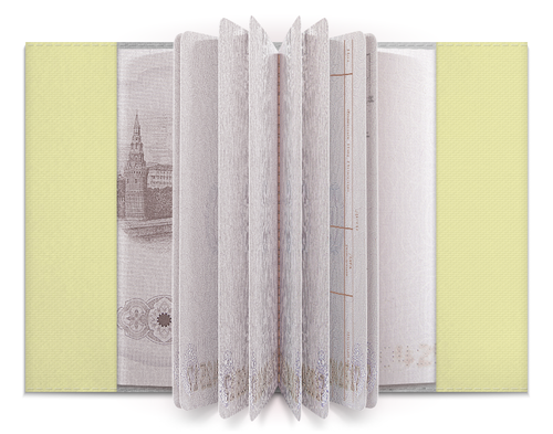 Заказать обложку для паспорта в Москве. Обложка для паспорта ШахМат от esse - готовые дизайны и нанесение принтов.