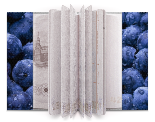 Заказать обложку для паспорта в Москве. Обложка для паспорта Голубичка от Настя Ким - готовые дизайны и нанесение принтов.