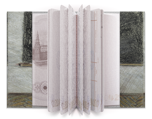 Заказать обложку для паспорта в Москве. Обложка для паспорта Всевидящее око от khlele@mail.ru - готовые дизайны и нанесение принтов.