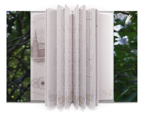 Заказать обложку для паспорта в Москве. Обложка для паспорта Сирень от FireFoxa - готовые дизайны и нанесение принтов.