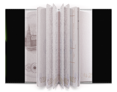 Заказать обложку для паспорта в Москве. Обложка для паспорта Skull от Дмитрий - готовые дизайны и нанесение принтов.