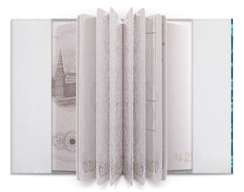 Заказать обложку для паспорта в Москве. Обложка для паспорта Fleeting от Vadim Koval - готовые дизайны и нанесение принтов.