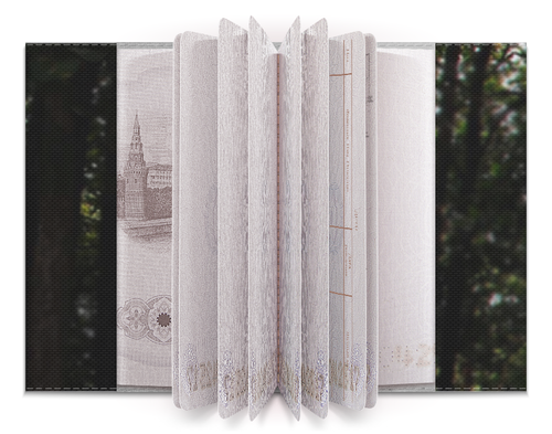 Заказать обложку для паспорта в Москве. Обложка для паспорта Девушка с лисой от lyurom - готовые дизайны и нанесение принтов.