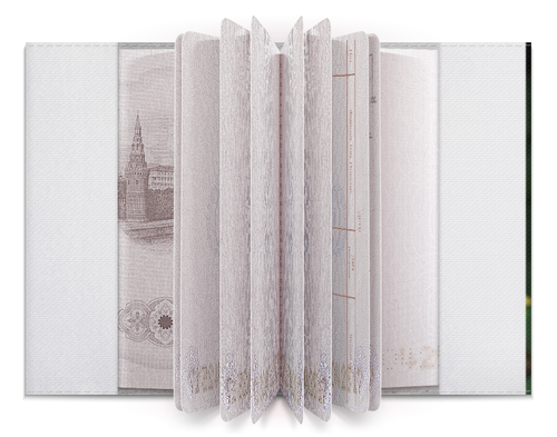 Заказать обложку для паспорта в Москве. Обложка для паспорта Цветущая долина от FireFoxa - готовые дизайны и нанесение принтов.