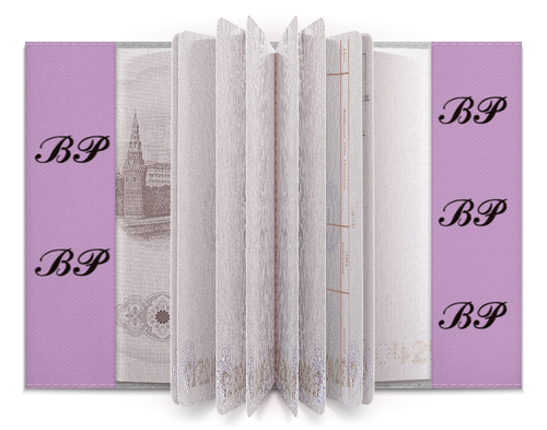 Заказать обложку для паспорта в Москве. Обложка для паспорта Blackpink лайтстик (бабочка) от nionilla - готовые дизайны и нанесение принтов.