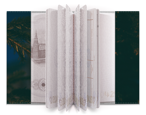 Заказать обложку для паспорта в Москве. Обложка для паспорта С новым годом от FireFoxa - готовые дизайны и нанесение принтов.