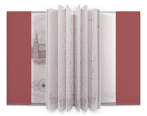 Заказать обложку для паспорта в Москве. Обложка для паспорта Сердца от Ирина - готовые дизайны и нанесение принтов.