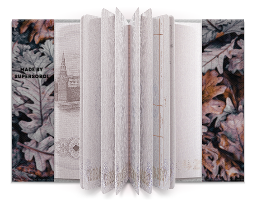 Заказать обложку для паспорта в Москве. Обложка для паспорта Паспорт Autumn Mood от SuperSobol  - готовые дизайны и нанесение принтов.