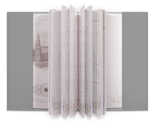 Заказать обложку для паспорта в Москве. Обложка для паспорта The Revenant / Выживший от crash - готовые дизайны и нанесение принтов.