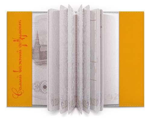 Заказать обложку для паспорта в Москве. Обложка для паспорта Важный документ от Anna - готовые дизайны и нанесение принтов.