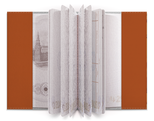 Заказать обложку для паспорта в Москве. Обложка для паспорта Тотошка от esse - готовые дизайны и нанесение принтов.