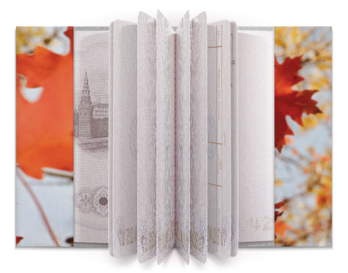 Заказать обложку для паспорта в Москве. Обложка для паспорта Осень от FireFoxa - готовые дизайны и нанесение принтов.