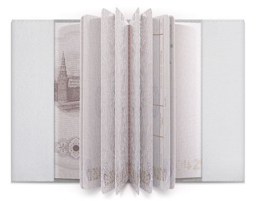 Заказать обложку для паспорта в Москве. Обложка для паспорта Скайкру  от Светлана Павлова - готовые дизайны и нанесение принтов.