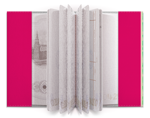 Заказать обложку для паспорта в Москве. Обложка для паспорта Hotline Miami от AstArt - готовые дизайны и нанесение принтов.
