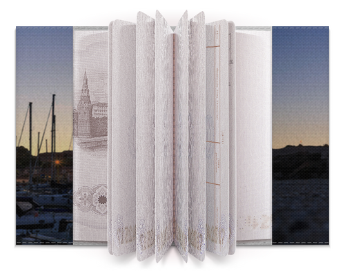 Заказать обложку для паспорта в Москве. Обложка для паспорта На закате от ElenaE  - готовые дизайны и нанесение принтов.