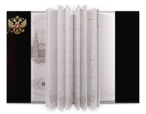 Заказать обложку для паспорта в Москве. Обложка для паспорта МУЗЫКА от robus - готовые дизайны и нанесение принтов.