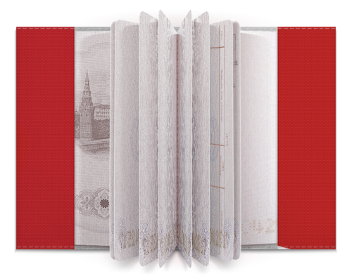 Заказать обложку для паспорта в Москве. Обложка для паспорта Big Brother от BigBrother - готовые дизайны и нанесение принтов.