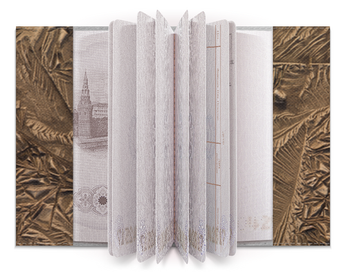 Заказать обложку для паспорта в Москве. Обложка для паспорта Текстура земли от Celeron3D  - готовые дизайны и нанесение принтов.