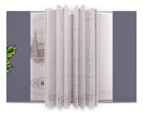 Заказать обложку для паспорта в Москве. Обложка для паспорта TRAVEL от ТМ_Kiseleva_Svetlana - готовые дизайны и нанесение принтов.