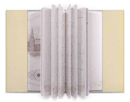 Заказать обложку для паспорта в Москве. Обложка для паспорта Котяра от esse - готовые дизайны и нанесение принтов.