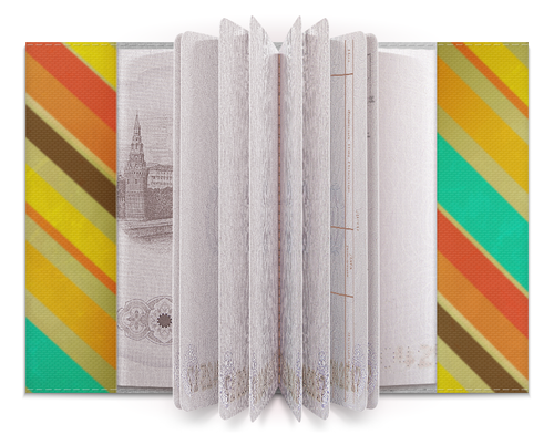 Заказать обложку для паспорта в Москве. Обложка для паспорта Полосатая абстракция от BeliySlon - готовые дизайны и нанесение принтов.