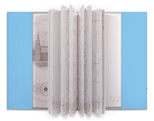 Заказать обложку для паспорта в Москве. Обложка для паспорта Боевые искусства от severus - готовые дизайны и нанесение принтов.