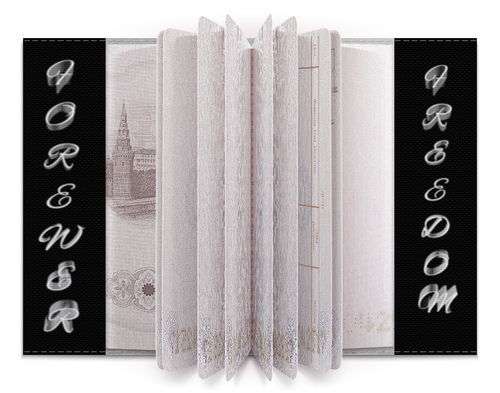 Заказать обложку для паспорта в Москве. Обложка для паспорта Без названия от Евгений Дубовик - готовые дизайны и нанесение принтов.