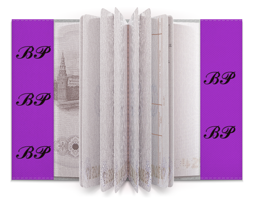 Заказать обложку для паспорта в Москве. Обложка для паспорта Blackpink лайтстик (вишневое пирожное) от nionilla - готовые дизайны и нанесение принтов.