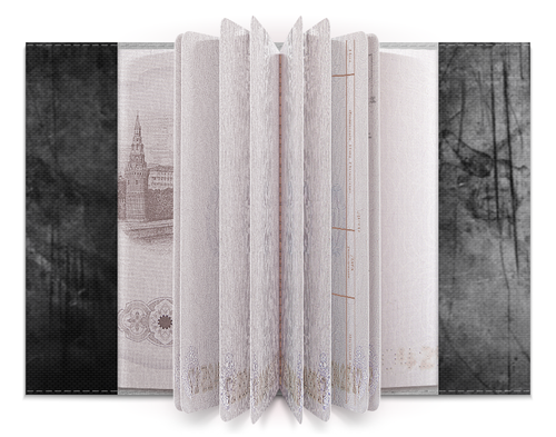Заказать обложку для паспорта в Москве. Обложка для паспорта BSAA. Resident Evil от game-fan - готовые дизайны и нанесение принтов.