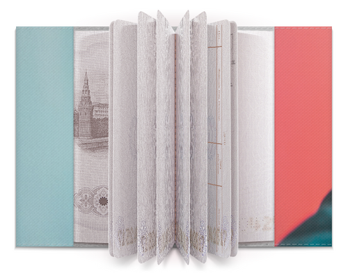 Заказать обложку для паспорта в Москве. Обложка для паспорта Идея  от FireFoxa - готовые дизайны и нанесение принтов.