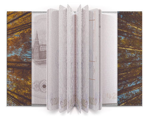 Заказать обложку для паспорта в Москве. Обложка для паспорта Осень от FireFoxa - готовые дизайны и нанесение принтов.