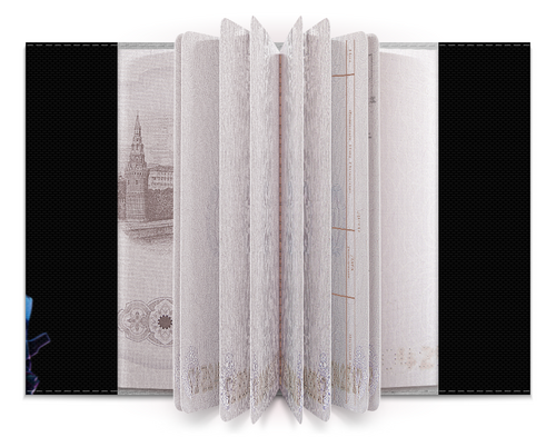 Заказать обложку для паспорта в Москве. Обложка для паспорта FORTNITE от geekbox - готовые дизайны и нанесение принтов.