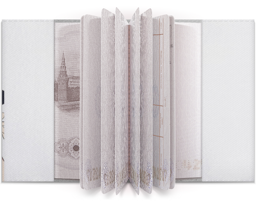 Заказать обложку для паспорта в Москве. Обложка для паспорта Паймон от Панов Павел - готовые дизайны и нанесение принтов.