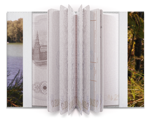 Заказать обложку для паспорта в Москве. Обложка для паспорта Удивительный Алтай от FireFoxa - готовые дизайны и нанесение принтов.