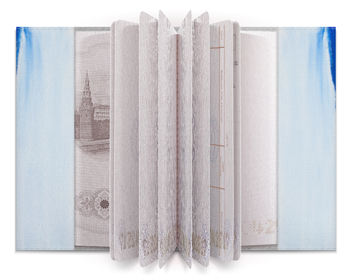 Заказать обложку для паспорта в Москве. Обложка для паспорта Rainbow от FireFoxa - готовые дизайны и нанесение принтов.