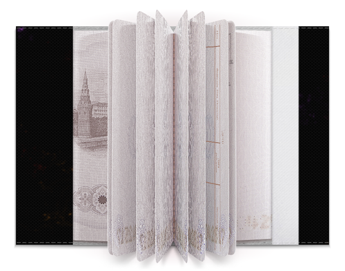 Заказать обложку для паспорта в Москве. Обложка для паспорта Туманность от Kisskissfallinhell - готовые дизайны и нанесение принтов.